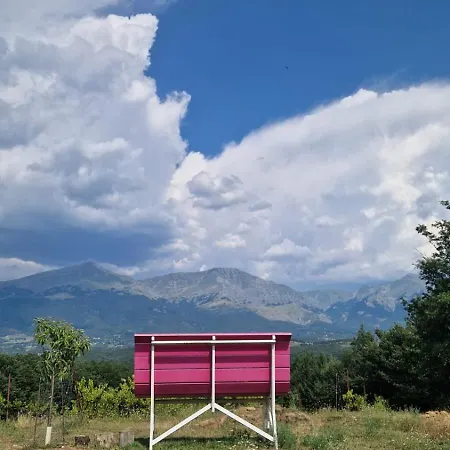 Reverie Amatrice